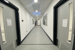 Image1