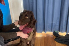 processed-763CEEAD-554A-4C62-ABF2-96998DF6AD92