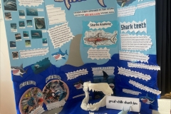 processed-C796F154-E067-4268-B0A5-0D2CE45DF97B